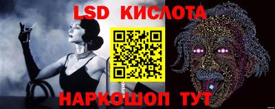 шишки Абакан