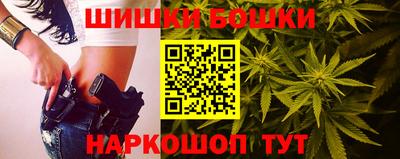 шишки Абакан