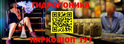 spice Абинск