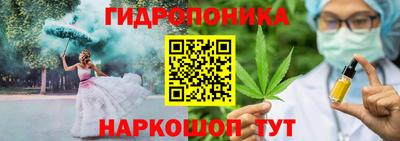 шишки Абакан