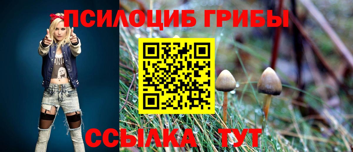 Псилоцибиновые грибы MAGIC MUSHROOMS  Вход с VPN  Алатырь 